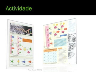 Nuno Correia 2010/11
 