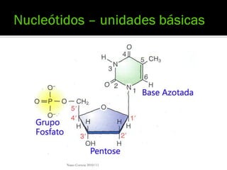 Nuno Correia 2010/11
 