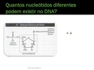    4




Nuno Correia 2010/11
 