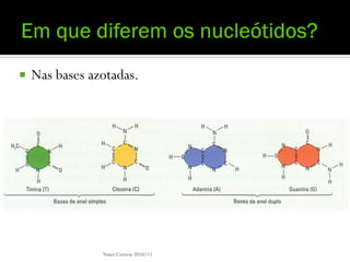    Nas bases azotadas.




                Nuno Correia 2010/11
 