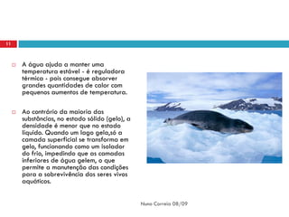 11



        A água ajuda a manter uma
         temperatura estável - é reguladora
         térmica - pois consegue absorver
         grandes quantidades de calor com
         pequenos aumentos de temperatura.

        Ao contrário da maioria das
         substâncias, no estado sólido (gelo), a
         densidade é menor que no estado
         líquido. Quando um lago gela,só a
         camada superficial se transforma em
         gelo, funcionando como um isolador
         do frio, impedindo que as camadas
         inferiores de água gelem, o que
         permite a manutenção das condições
         para a sobrevivência dos seres vivos
         aquáticos.


                                                   Nuno Correia 08/09
 