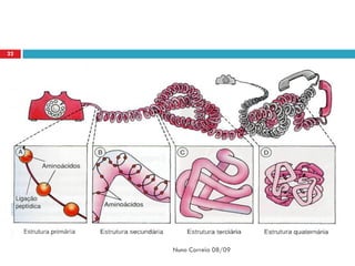 22




     Nuno Correia 08/09
 