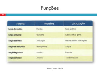 Funções
25




       Nuno Correia 08/09
 