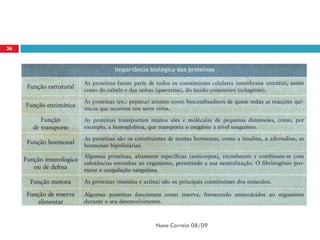 26




     Nuno Correia 08/09
 