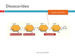 Dissacarídeo
30
                                         Ligação glicosídica




                    Nuno Correia 08/09
 