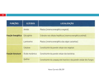 34




     Nuno Correia 08/09
 