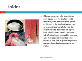 Lípidos
35

                  Óleos e gorduras não se misturam
                   com água; suas moléculas, sendo
                   apolares, não têm afinidade pelas
                   moléculas polarizadas da água. As
                   aves aquáticas beneficiam-se da
                   insolubilidade dos óleos em água;
                   elas lubrificam as penas com uma
                   substância oleosa produzida por uma
                   glândula especial localizada na
                   cauda, o que faz as penas repelirem
                   a água, impedindo que a pele se
                   molhe.



               Nuno Correia 08/09
 