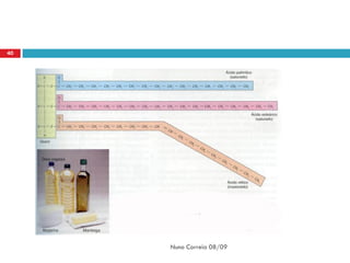 40




     Nuno Correia 08/09
 