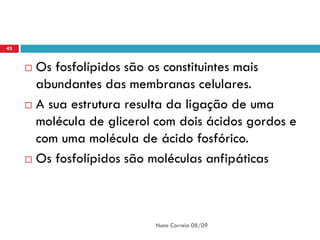43


      Os fosfolípidos são os constituintes mais
       abundantes das membranas celulares.
      A sua estrutura resulta da ligação de uma

       molécula de glicerol com dois ácidos gordos e
       com uma molécula de ácido fosfórico.
      Os fosfolípidos são moléculas anfipáticas




                           Nuno Correia 08/09
 