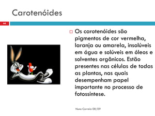 Carotenóides
44


                       Os carotenóides são
                        pigmentos de cor vermelha,
                        laranja ou amarela, insolúveis
                        em água e solúveis em óleos e
                        solventes orgânicos. Estão
                        presentes nas células de todas
                        as plantas, nas quais
                        desempenham papel
                        importante no processo de
                        fotossíntese.

                        Nuno Correia 08/09
 