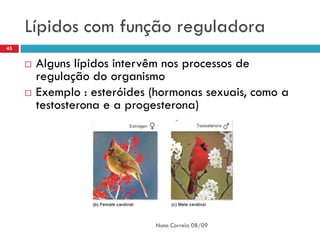 Lípidos com função reguladora
45


        Alguns lípidos intervêm nos processos de
         regulação do organismo
        Exemplo : esteróides (hormonas sexuais, como a
         testosterona e a progesterona)




                              Nuno Correia 08/09
 