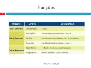 Funções
46




       Nuno Correia 08/09
 