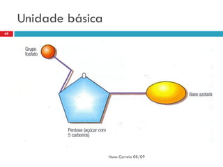 Unidade básica
49




                      Nuno Correia 08/09
 