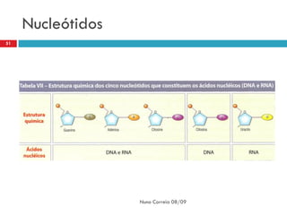 Nucleótidos
51




                   Nuno Correia 08/09
 