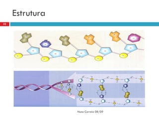 Estrutura
52




                 Nuno Correia 08/09
 
