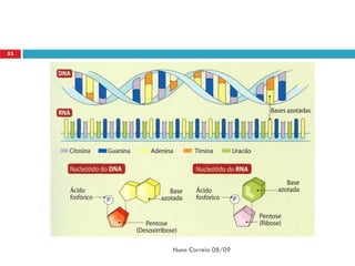 53




     Nuno Correia 08/09
 