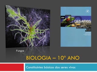 Fungos


         BIOLOGIA – 10º ANO
         Constituintes básicos dos seres vivos
 