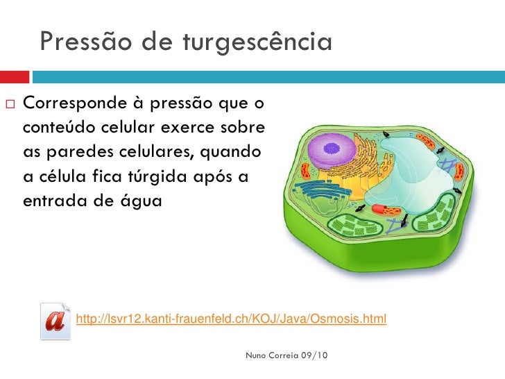 A verdade que influências fumam uma potência