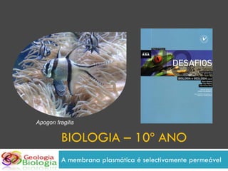 Apogon fragilis


          BIOLOGIA – 10º ANO
          A membrana plasmática é selectivamente permeável
 