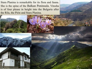StaraPlanina is remarkable for its flora and fauna. She is the spine of the Balkan Peninsula. Vitosha is of four please in height into the Bulgaria after the Rila, the Pirin and StaraPlanina.