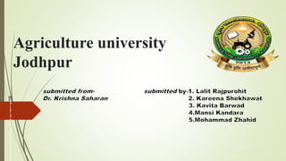 Agriculture university
Jodhpur
 