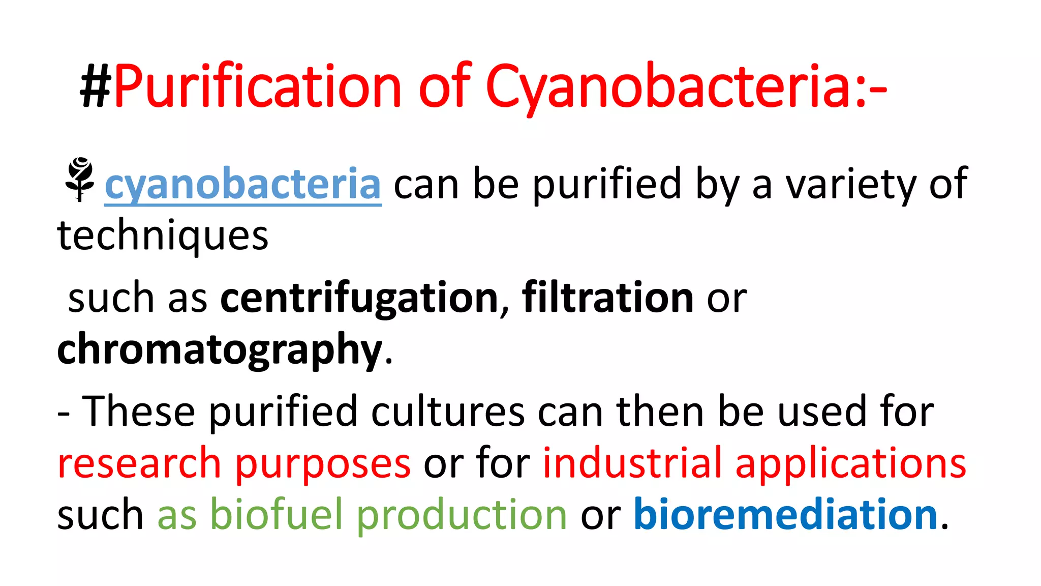 Isolation and purification of Cyanobacteria | PPTX