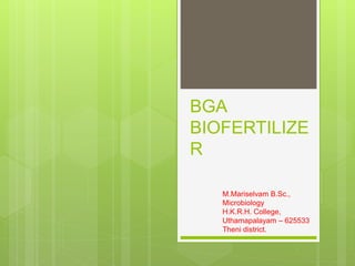 BGA
BIOFERTILIZE
R
M.Mariselvam B.Sc.,
Microbiology
H.K.R.H. College,
Uthamapalayam – 625533
Theni district.
 