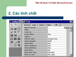 Môn Hệ Quản Trị CSDL Microsoft Access
2. Các tính chất
 