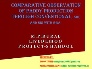Comparative Observation of Paddy Production through conventional,  SRI, and SRI WITH BGA   M.P.RURAL LIVEDLIHOO PROJECT-SHAHDOL PRESENTED BY-  ANOOP TIWARI- [email_address] NIKHIL DWIVEDI,AG.PFT- [email_address] 