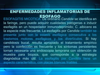 B GASTRITIS - ULCERAS GASTRICAS Y NEOPLASIAS.ppt