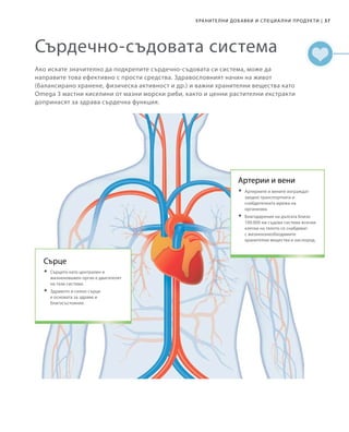 37|Хранителни добавки и специални продукти
Сърдечно-съдовата система
Ако искате значително да подкрепите сърдечно-съдовата си система, може да
направите това ефективно с прости средства. Здравословният начин на живот
(балансирано хранене, физическа активност и др.) и важни хранителни вещества като
Omega 3 мастни киселини от мазни морски риби, както и ценни растителни екстракти
допринасят за здрава сърдечна функция.
Сърце
	Сърцето като централен и
жизненоважен орган е двигателят
на тази система.
	Здравото и силно сърце
е основата за здраве и
благосъстояние.
Артерии и вени
	Артериите и вените изграждат
заедно транспортната и
снабдителната мрежа на
организма.
	Благодарение на дългата близо
100.000 км съдова система всички
клетки на тялото се снабдяват
с жизненонеобходимите
хранителни вещества и кислород.
 