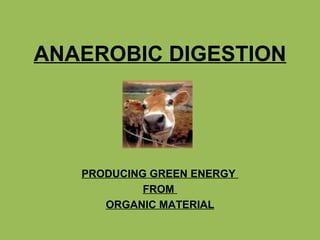 ANAEROBIC DIGESTION PRODUCING GREEN ENERGY  FROM  ORGANIC MATERIAL 