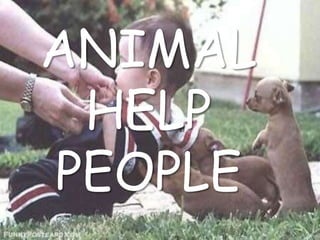 ANIMAL
HELP
PEOPLE
 