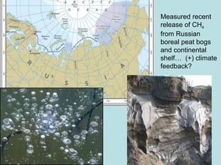 Measured recent release of CH 4 from Russian boreal peat bogs and continental shelf…  (+) climate feedback? 