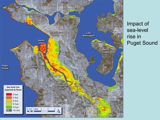 Impact of  sea-level rise in Puget Sound 
