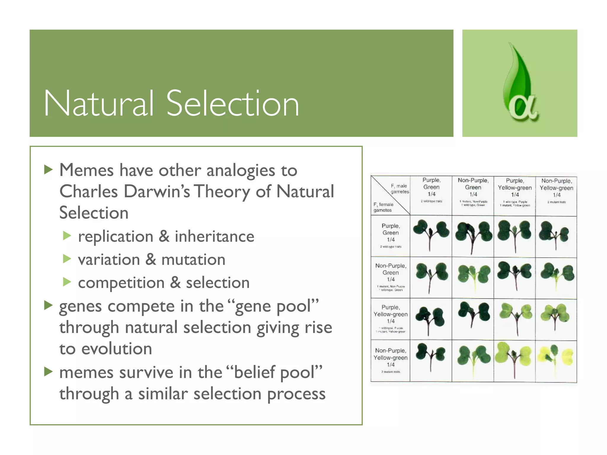 Natural Selection
 Memes have other analogies to
 Charles Darwin’s Theory of Natural
 Selection
   replication & inheritance
   variation & mutation
   competition & selection
 genes compete in the “gene pool”
 through natural selection giving rise
 to evolution
 memes survive in the “belief pool”
 through a similar selection process
 