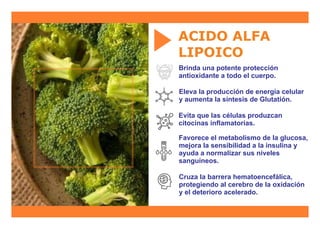 ACIDO ALFA
LIPOICO
Brinda una potente protección
antioxidante a todo el cuerpo.
Eleva la producción de energía celular
y aumenta la síntesis de Glutatión.
Evita que las células produzcan
citocinas inﬂamatorias.
Favorece el metabolismo de la glucosa,
mejora la sensibilidad a la insulina y
ayuda a normalizar sus niveles
sanguíneos.
Cruza la barrera hematoencefálica,
protegiendo al cerebro de la oxidación
y el deterioro acelerado.
 