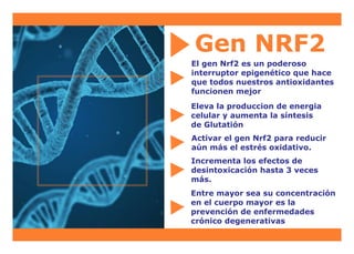 Gen NRF2
El gen Nrf2 es un poderoso
interruptor epigenético que hace
que todos nuestros antioxidantes
funcionen mejor
Eleva la produccion de energia
celular y aumenta la síntesis
de Glutatión
Activar el gen Nrf2 para reducir
aún más el estrés oxidativo.
Incrementa los efectos de
desintoxicación hasta 3 veces
más.
Entre mayor sea su concentración
en el cuerpo mayor es la
prevención de enfermedades
crónico degenerativas
 