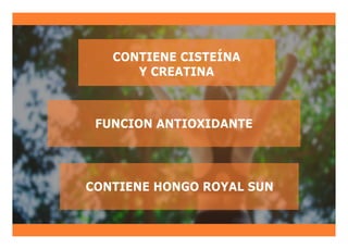 CONTIENE HONGO ROYAL SUN
FUNCION ANTIOXIDANTE
CONTIENE CISTEÍNA
Y CREATINA
 