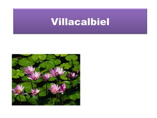 Villacalbiel 