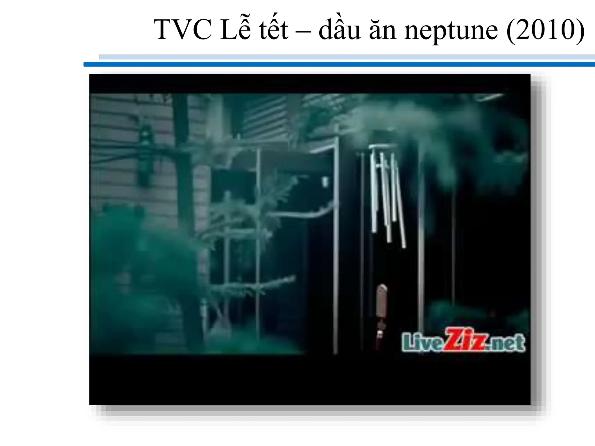 TVC Lễ tết – dầu ăn neptune (2010)
 