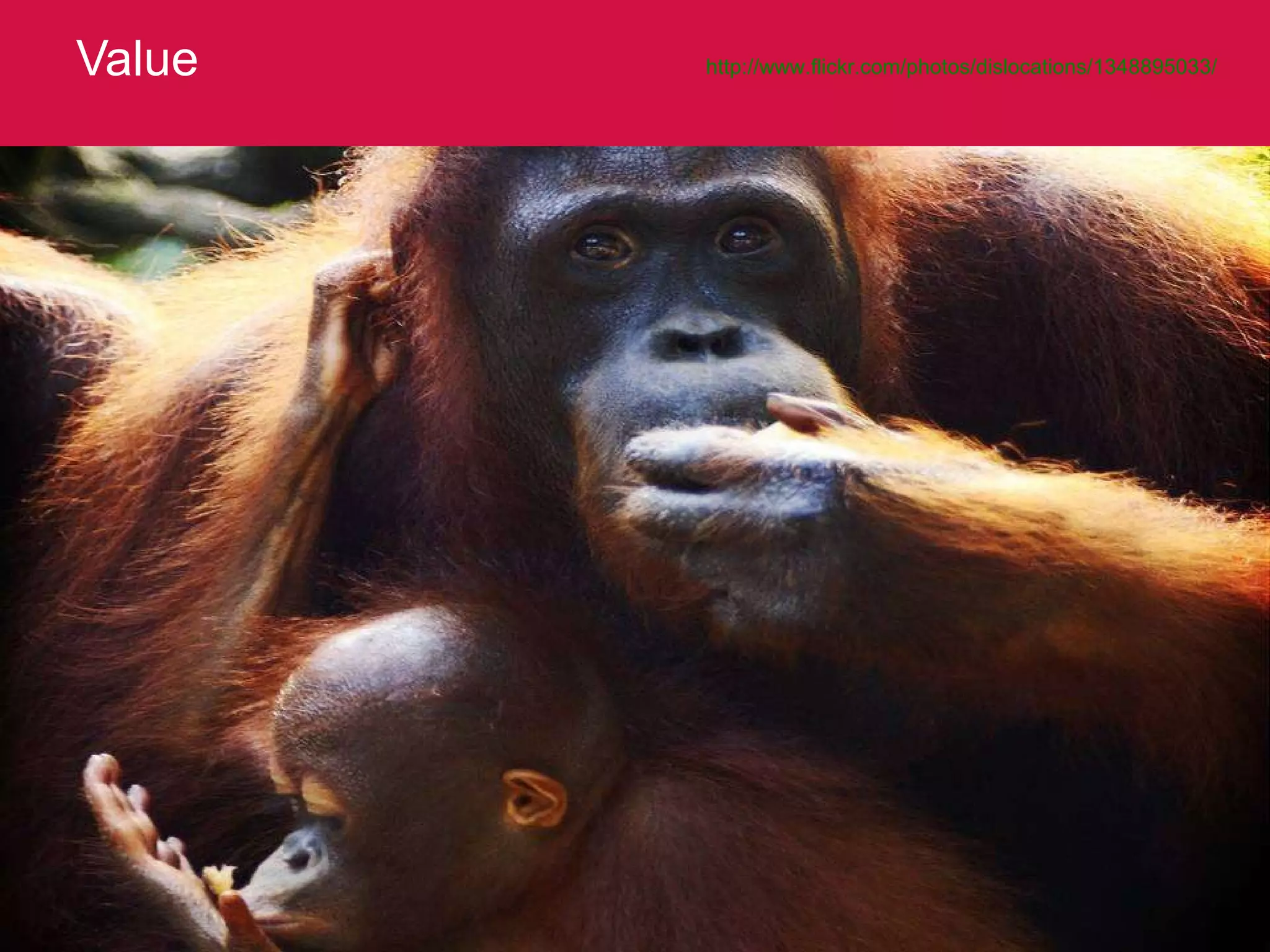 Value http://www.flickr.com/photos/dislocations/1348895033/   