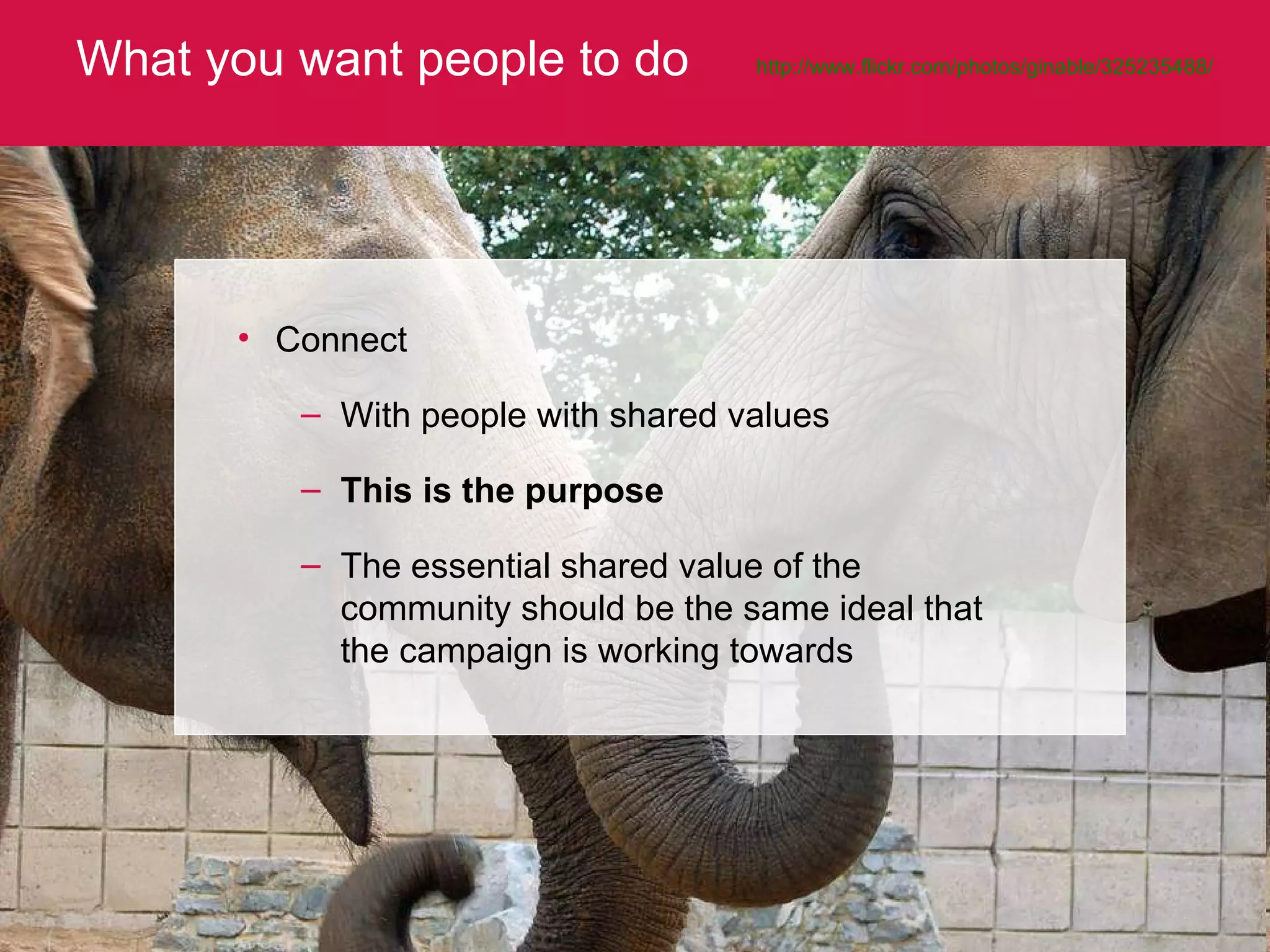 What you want people to do http://www.flickr.com/photos/ginable/325235488/   Connect With people with shared values This is the purpose The essential shared value of the community should be the same ideal that the campaign is working towards  