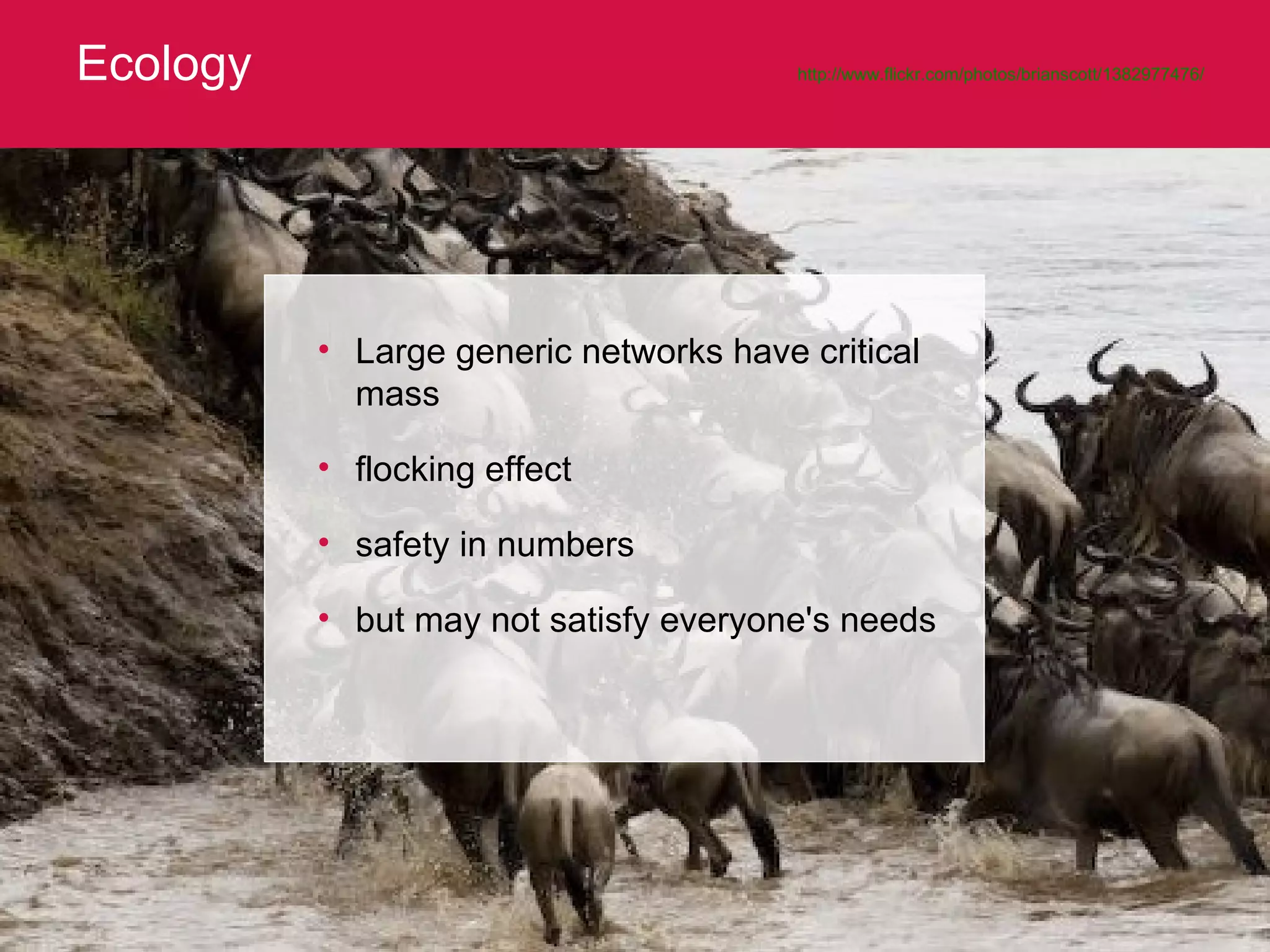 Ecology http://www.flickr.com/photos/brianscott/1382977476/   Large generic networks have critical mass flocking effect safety in numbers but may not satisfy everyone's needs 