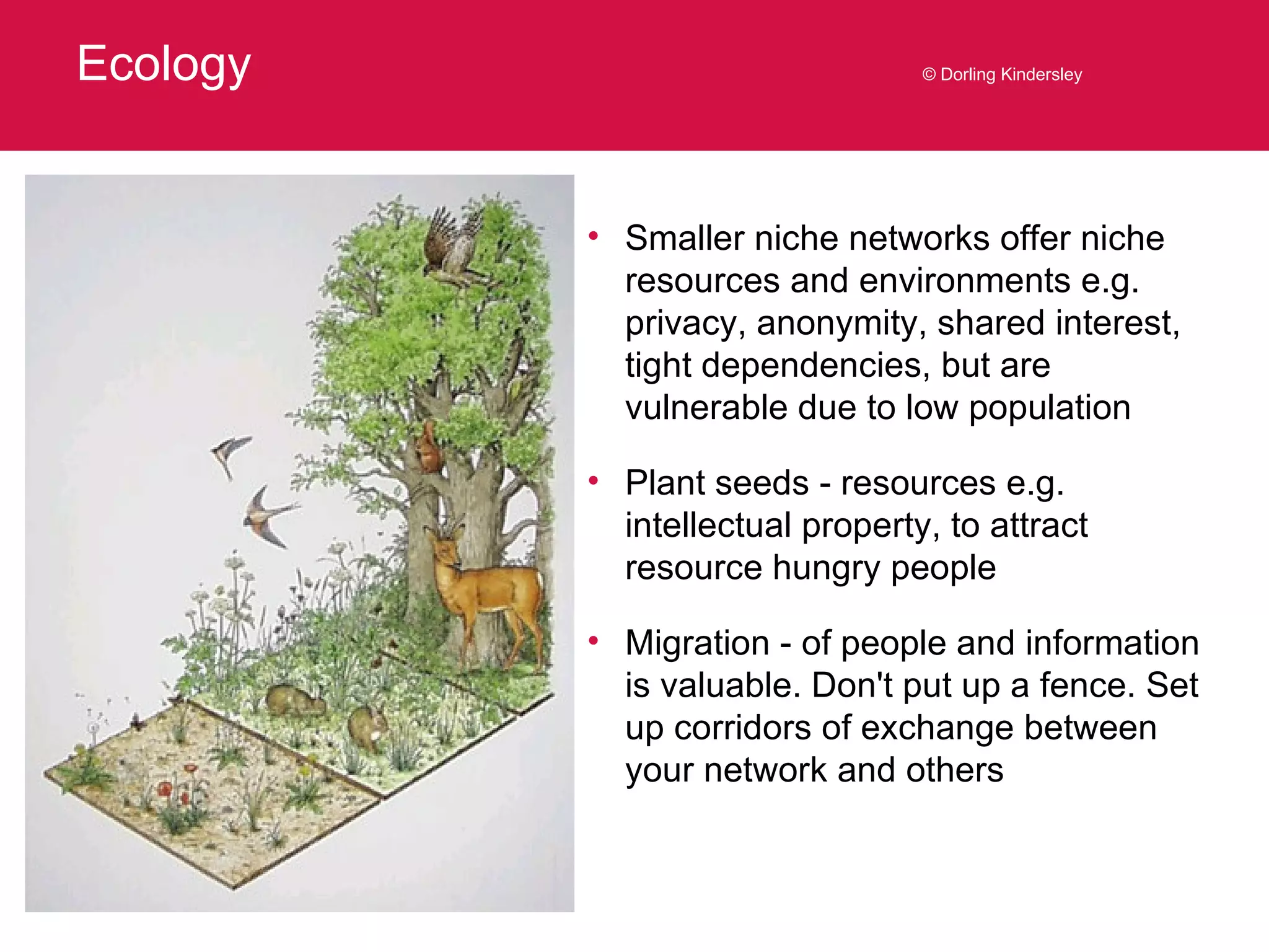 Ecology © Dorling Kindersley Smaller niche networks offer niche resources and environments e.g. privacy, anonymity, shared interest, tight dependencies, but are vulnerable due to low population Plant seeds - resources e.g. intellectual property, to attract resource hungry people Migration - of people and information is valuable. Don't put up a fence. Set up corridors of exchange between your network and others 