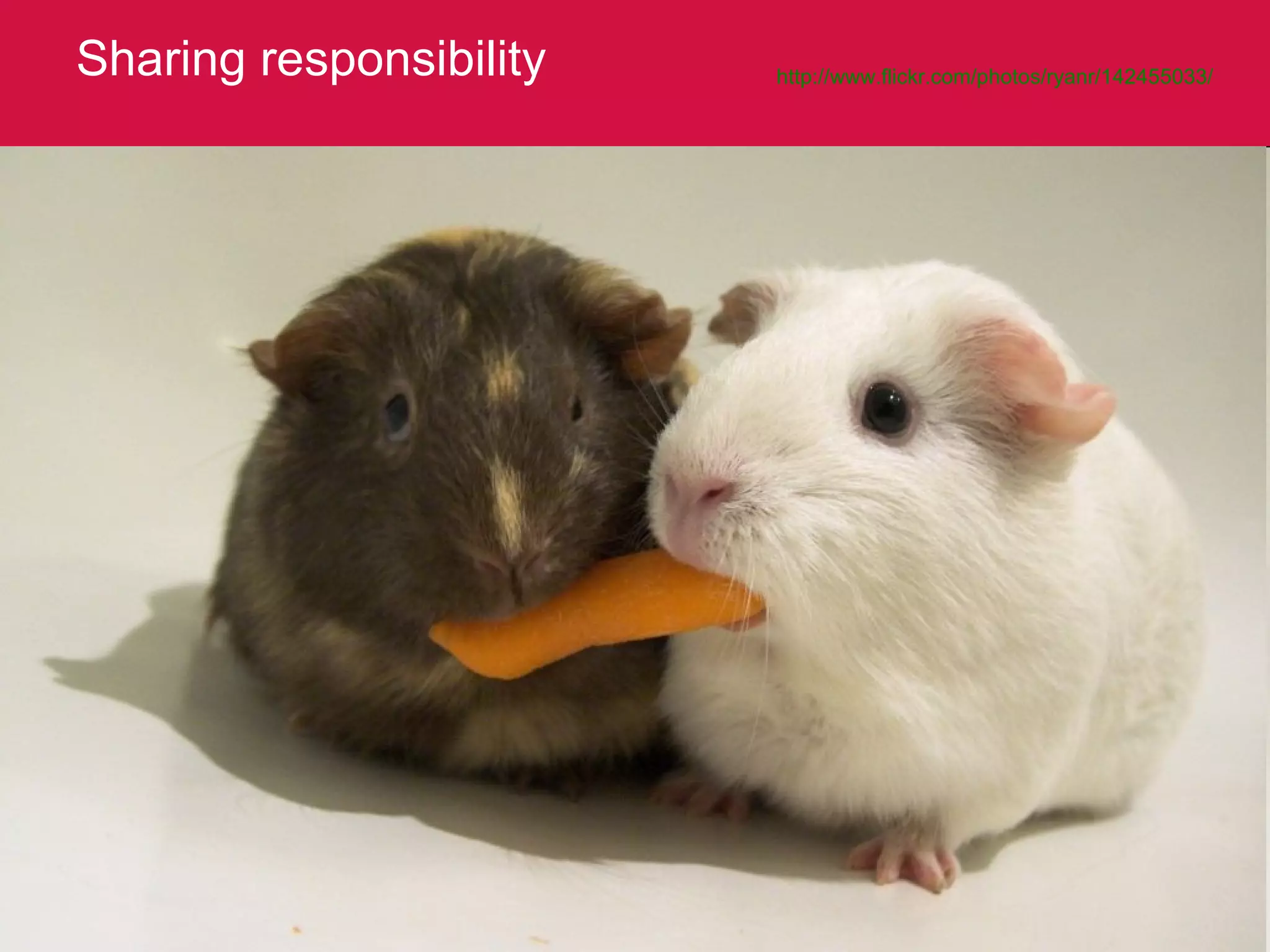 Sharing responsibility http://www.flickr.com/photos/ryanr/142455033/   