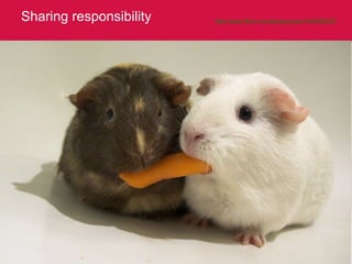 Sharing responsibility http://www.flickr.com/photos/ryanr/142455033/   