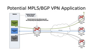 Potential MPLS/BGP VPN Application
 