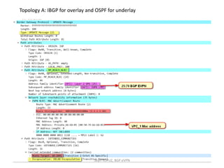 Topology A: IBGP for overlay and OSPF for underlay
Seyfi TOPUZ, BGP eVPN
 