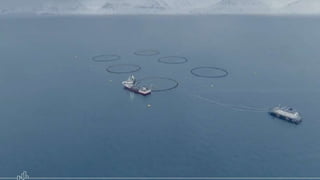 crianza de peces, crustáceos, moluscos, plantas acuáticas,
algas u otros organismos
El 50% del pescado mundial en alimentación proviene de la
acuicultura.
En Europa, un 20% de la producción de pescado
Unos 85,000 empleos directos
Se concentra en 5 países: España, Reino Unido, Francia, Italia y Grecia
que producen un 75% del total
Acuicultura: ¿De qué se trata?
 